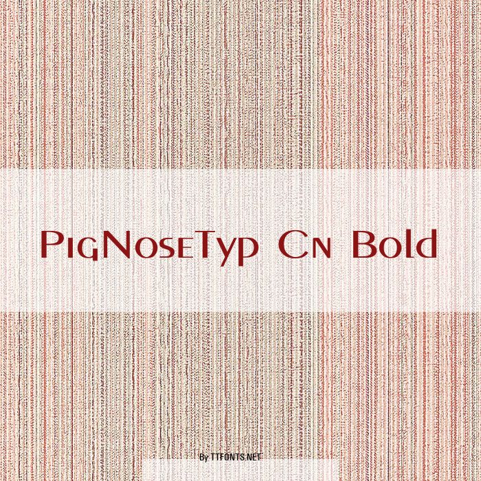 PigNoseTyp Cn Bold example